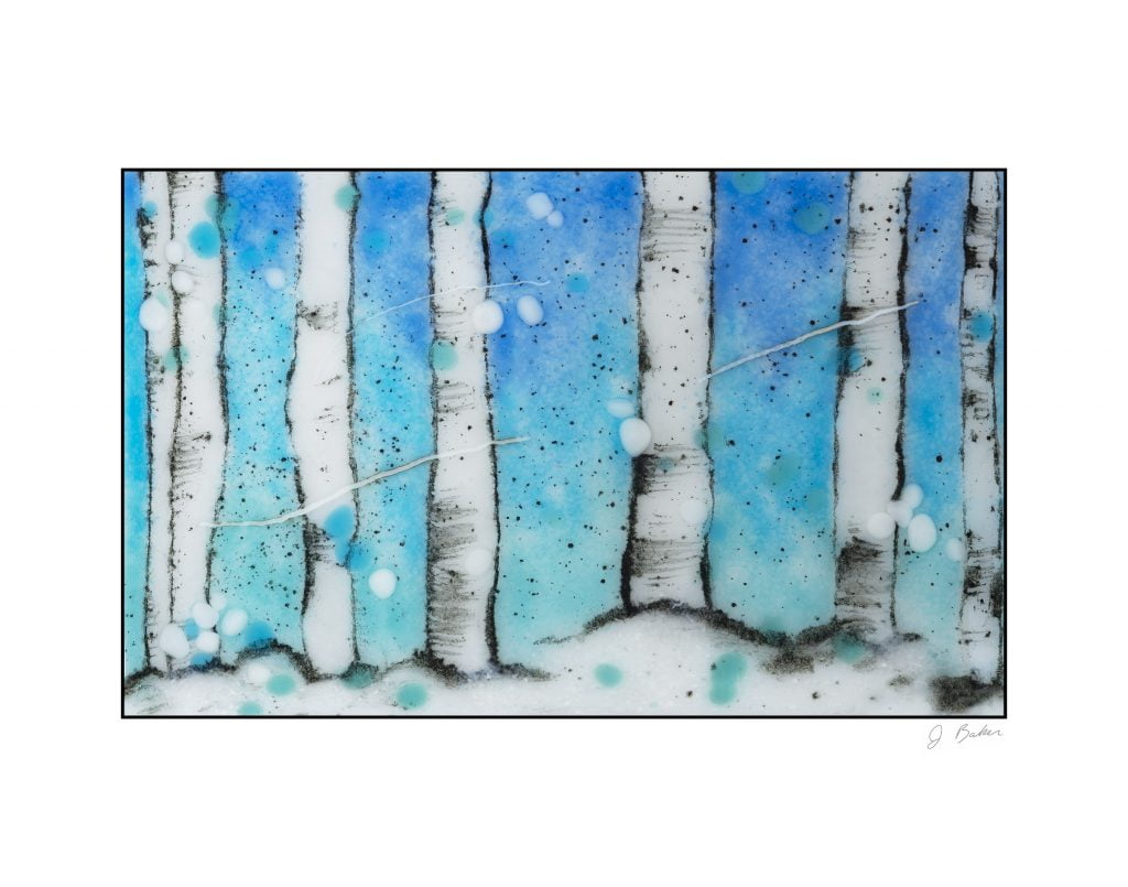 Sgraffito Aspen Study 1 Print Jennifer Baker Glass Art